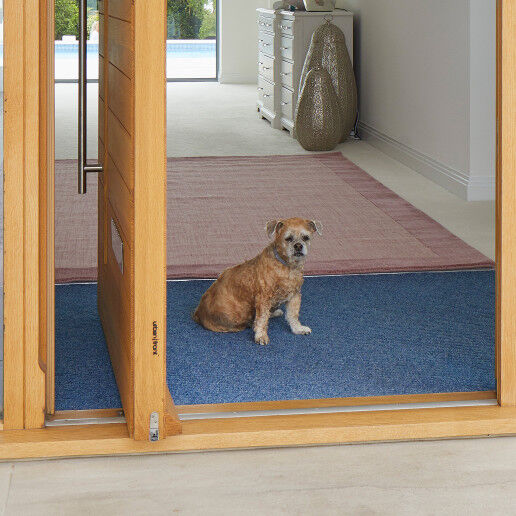 designer petflap with a difference header 3