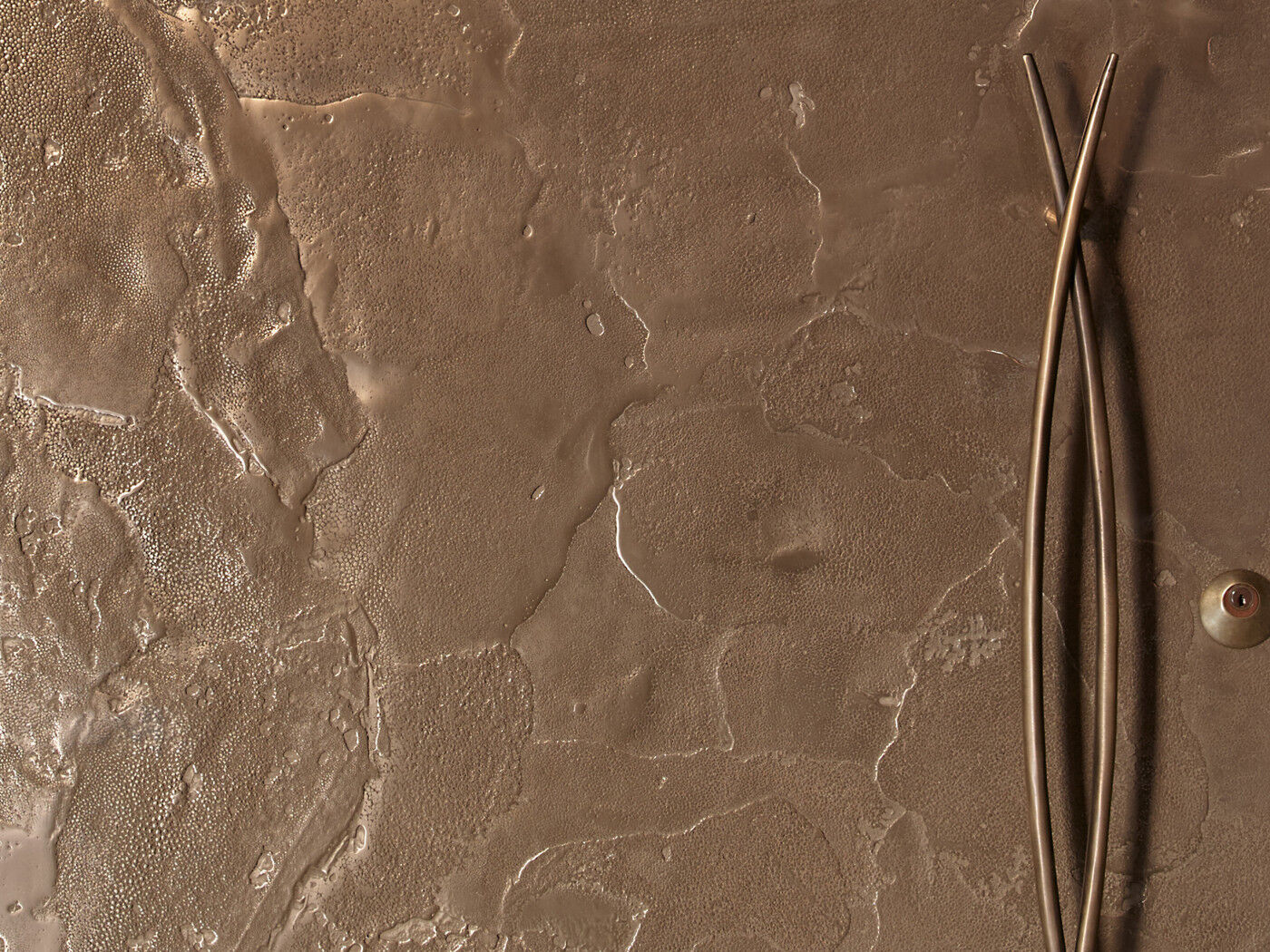 Bronze ref. 101: While the snakeskin-like texture is sure to become a talking point for everyone who steps through the door