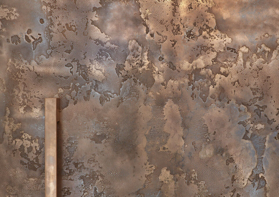 Bronze ref. 101: While the snakeskin-like texture is sure to become a talking point for everyone who steps through the door