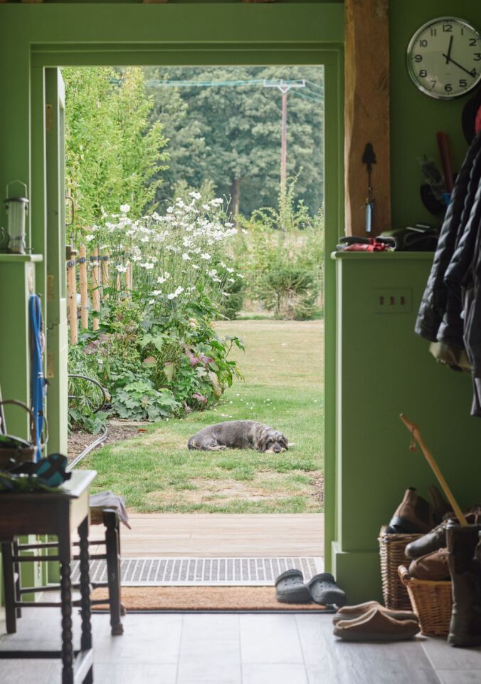 Portrait green back door into garden
