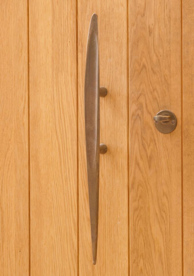 Portrait oak close up