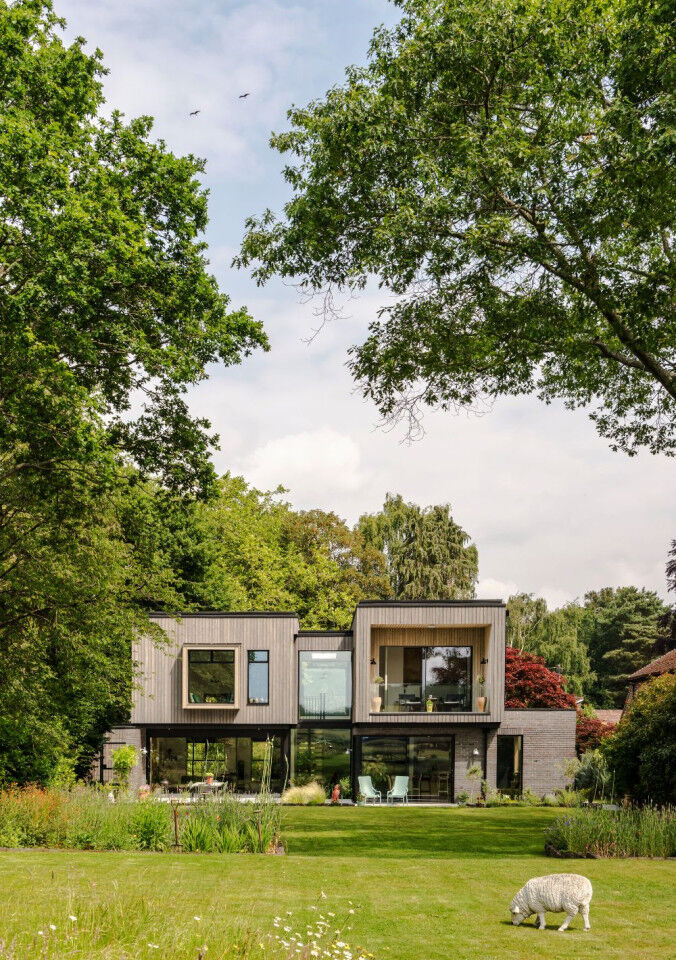 Portrait_sheep in garden_Hazels