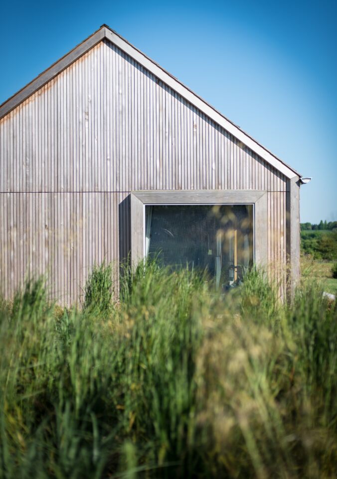 Portrait_side of house