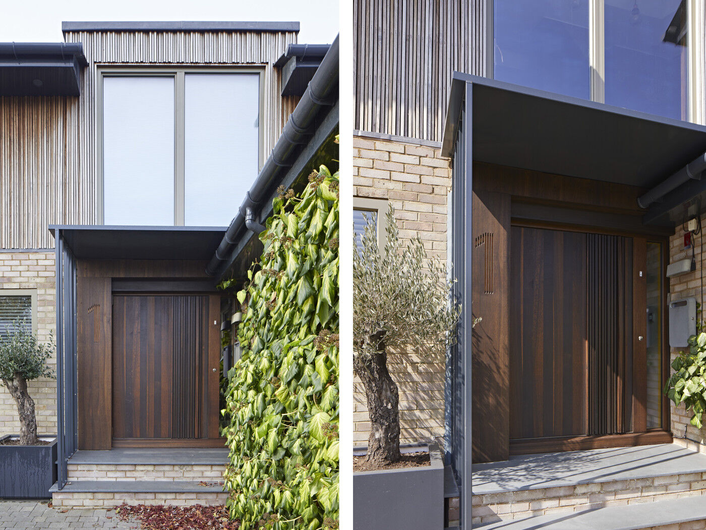 Bari pivot door in fumed oak