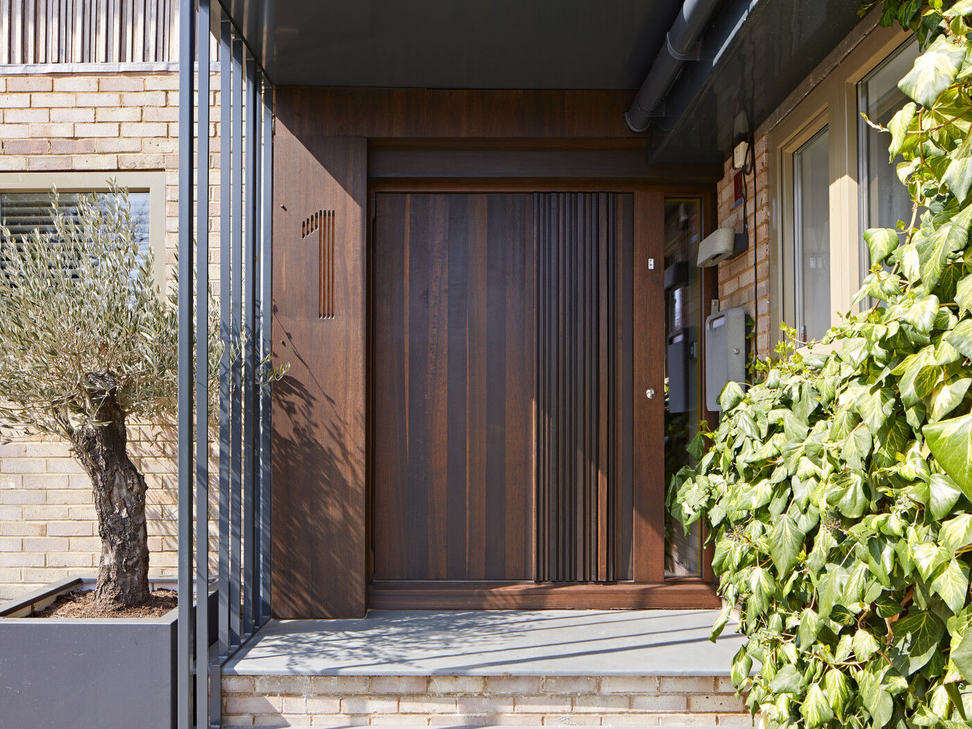 bari pivot in fumed oak 