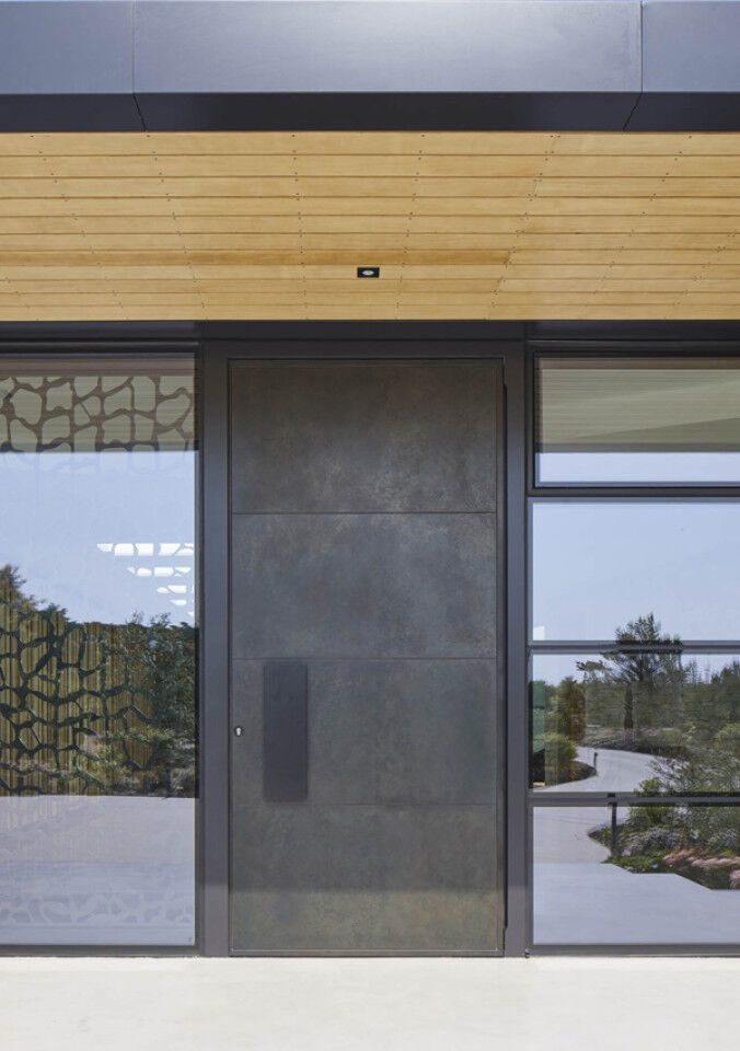 metallic finish front door thumbnail